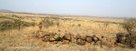 Colenso heights overlooking Tugela & Colenso (6)