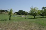 clousten-cemetary-overall-views-3
