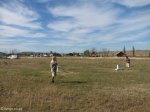colenso-gun-site-monument-views-4