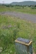 colenso-gun-site-no-5-gun-66th-batt
