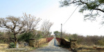 Colenso Town - The Bulwer Bridge  1879 (6)