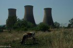 colenso-cooling-towers-24