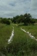 tugela-heights-boer-trenches-s28-40-815-e-29-50-610-elev-1035