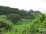 Blackburn Estates - Cornubia (1)