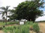 Blackburn Estates - Cornubia (2)