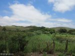 Blackburn Estates - Cornubia (3)