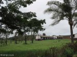 Blackburn Estates - Cornubia (4)