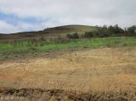 Cornubia - Low income housing (4)