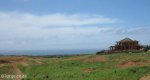 Izinga Ridge - November 2014 (3)