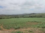Umhlanga River views towards Verulam (2)