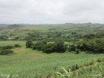 Umhlanga River views towards Verulam (4)