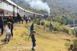 Aloe festival train pitstop (2)