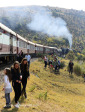 Aloe festival train pitstop (4)