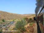 Aloes alongside the Paton Country Rail (11)