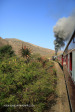 Aloes alongside the Paton Country Rail (14)