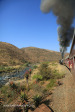 Aloes alongside the Paton Country Rail (15)