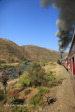 Aloes alongside the Paton Country Rail (16)