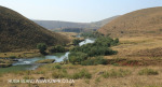 Alongside the Ngogwana River (4)
