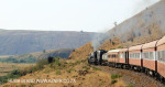 Alongside the Ngogwana River (9)