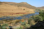 GMAM 4074 steaming alongsige the Ngogwana River (11)