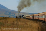 GMAM 4074 steaming alongsige the Ngogwana River (18)