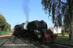 GMAM Garrat 4074 4-8-2+2-8-4 1953 (13)..