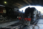 GMAM Garrat 4074 4-8-2+2-8-4 1953 (4)