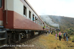 GMAM Garratt 4074 built 1953 steaming past aloes in Creighton (1)