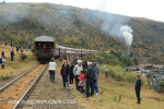 GMAM Garratt 4074 built 1953 steaming past aloes in Creighton (13)