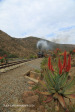 GMAM Garratt 4074 built 1953 steaming past aloes in Creighton (7)
