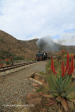 GMAM Garratt 4074 built 1953 steaming past aloes in Creighton (9)