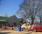Creighton Aloe festival and market (3)