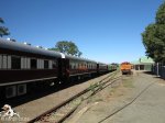creighton-railway-station-and-steam-train-25