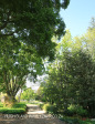 Newstead gardens (5)