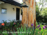 Newstead swimming pool and yard (5)