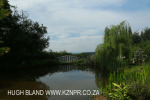 Yellowwoods garden
