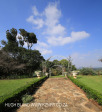Yellowwoods gardens (1)