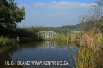 Yellowwoods gardens (6)