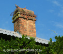 Yellowwoods roof chimney