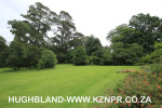 Currys-Post-Old-Halliwell-garden-views-2