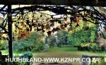 Old-Halliwell-gardens-1