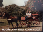 Old-Halliwell-historic-images-9