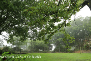 Dargle - Beverley Farm - 601