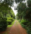 Dargle -   Cluny Farm - Herb Cottage - entrance - JPG (2)