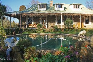 Dargle - Corrie Lynn