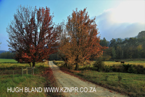 Dargle - Dargle Farm