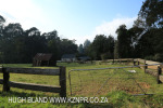 Dargle Farm - outbuildings (18)