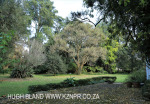 Dargle Farm - outbuildings (8).