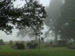Dargle - St Andrews Church - Cemetary  - general views  (2)