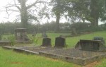 Dargle - St Andrews Church - Grave - McKenzie family -